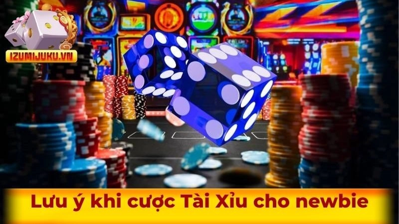 Một vài điểm cần chú ý khi ứng dụng cách chơi Tài Xỉu cho người mới chơi