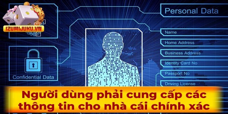 Người dùng phải cung cấp các thông tin cho chúng tôi chính xác